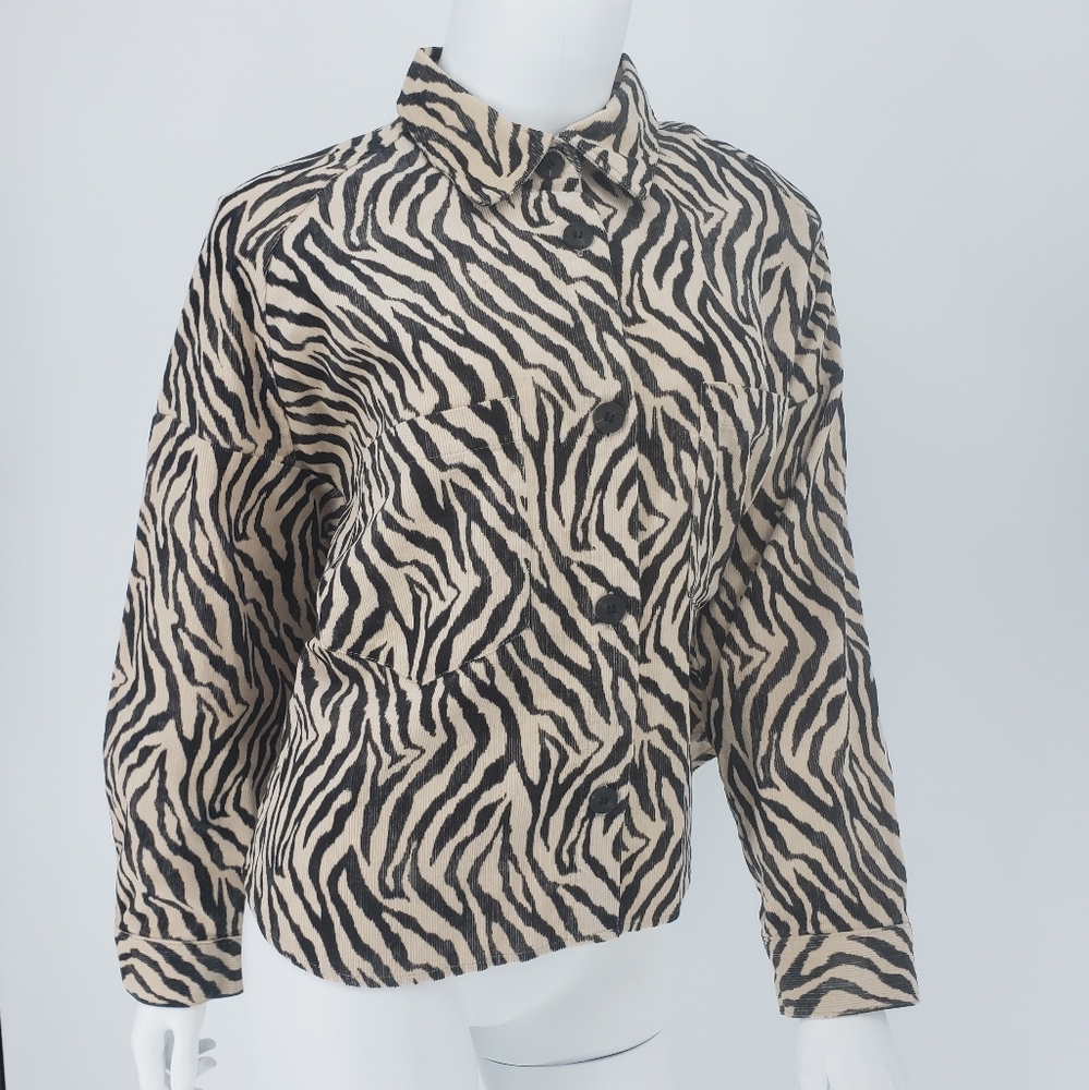 Zara long sleeve blouse